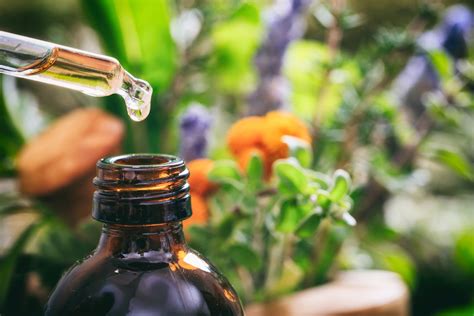 The Power of Aromatherapy: Tapping into the Magic of Vital Oils